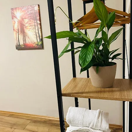 Apartament Schoenheit *